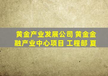 黄金产业发展公司 黄金金融产业中心项目 工程部 夏